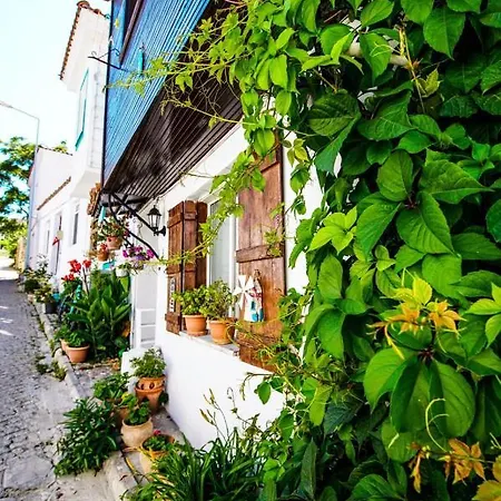 Bed & Breakfast Sakli